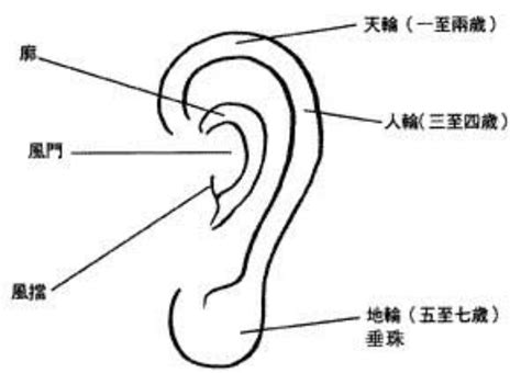 耳骨 面相|面相入门